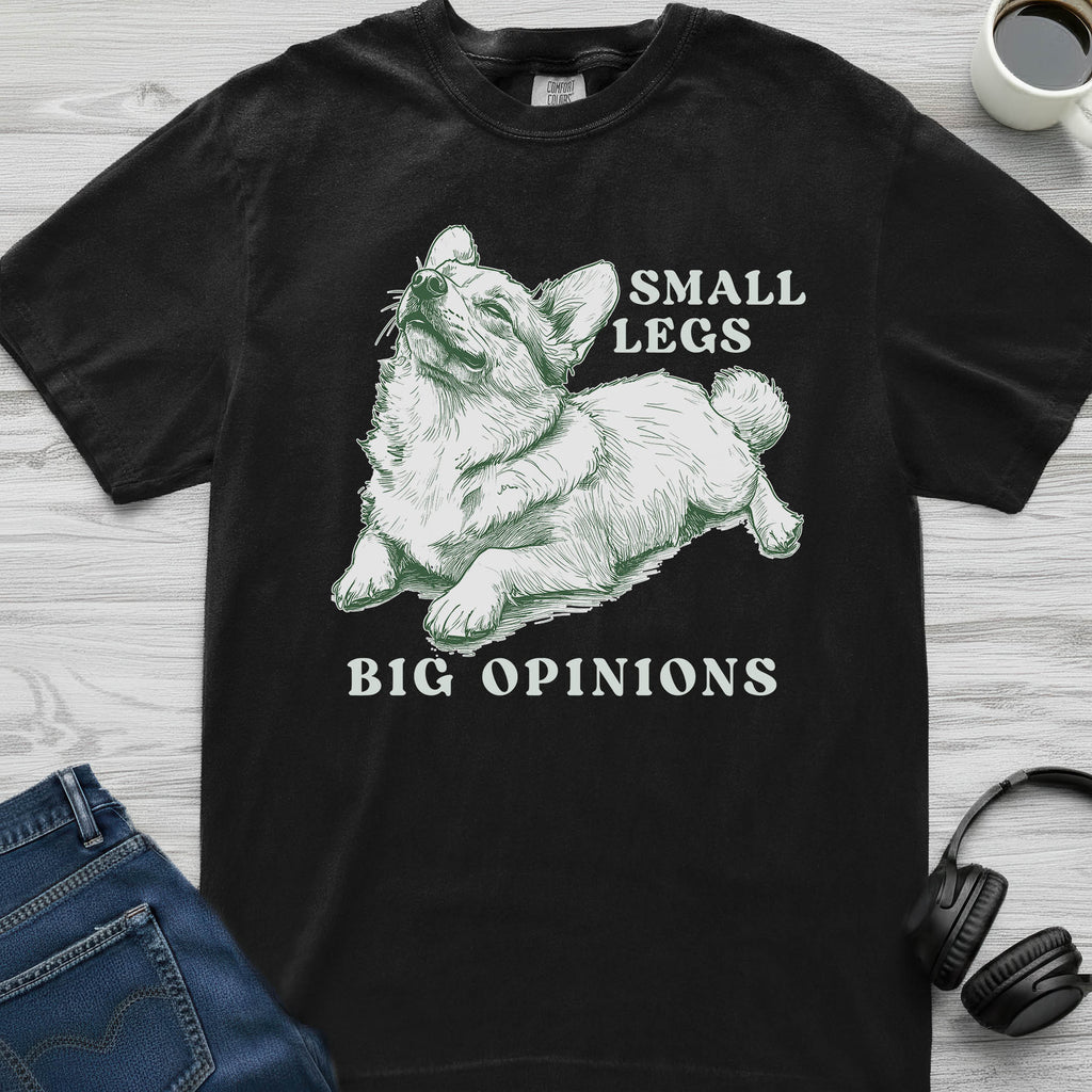 Big Corgi Opinions T-Shirt