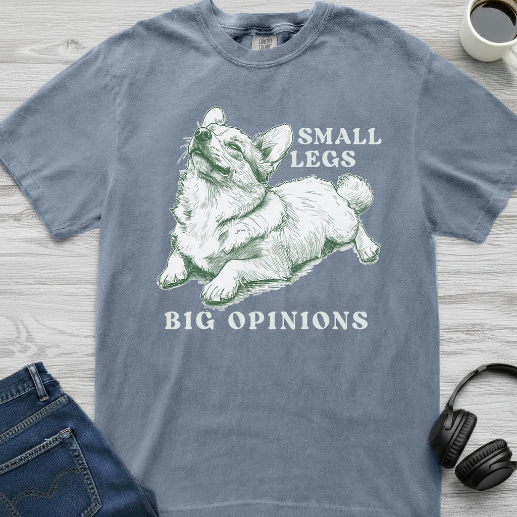 Big Corgi Opinions T-Shirt