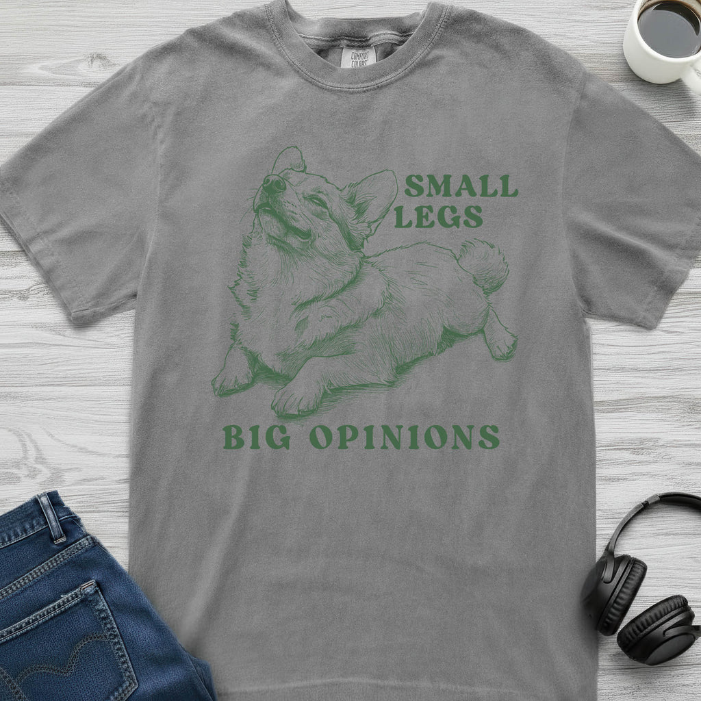 Big Corgi Opinions T-Shirt